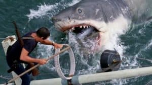 A scene from the movie JAWS