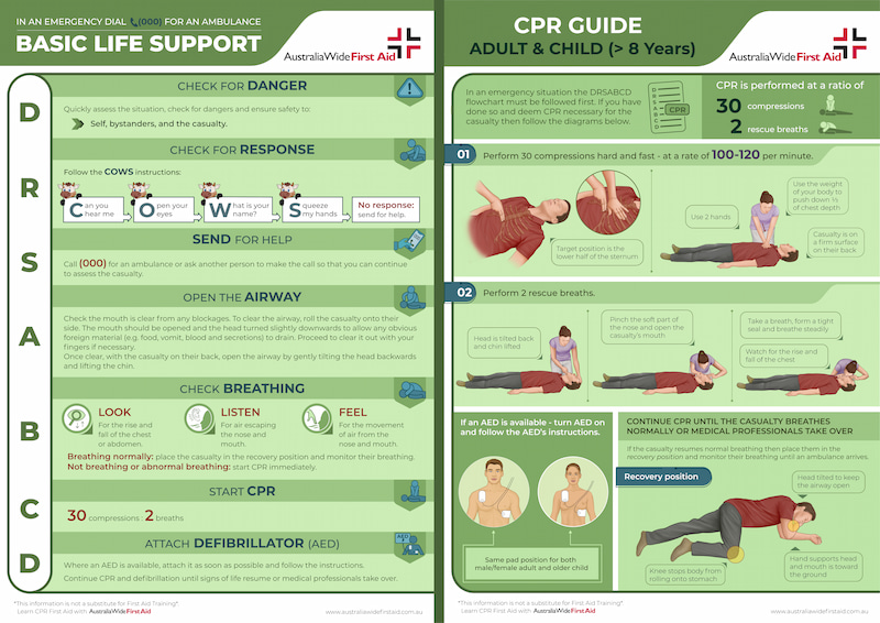Adult & Older Child Basic life support & CPR poster