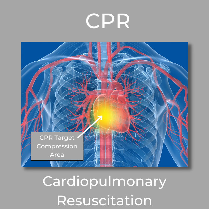 CPR target compression area